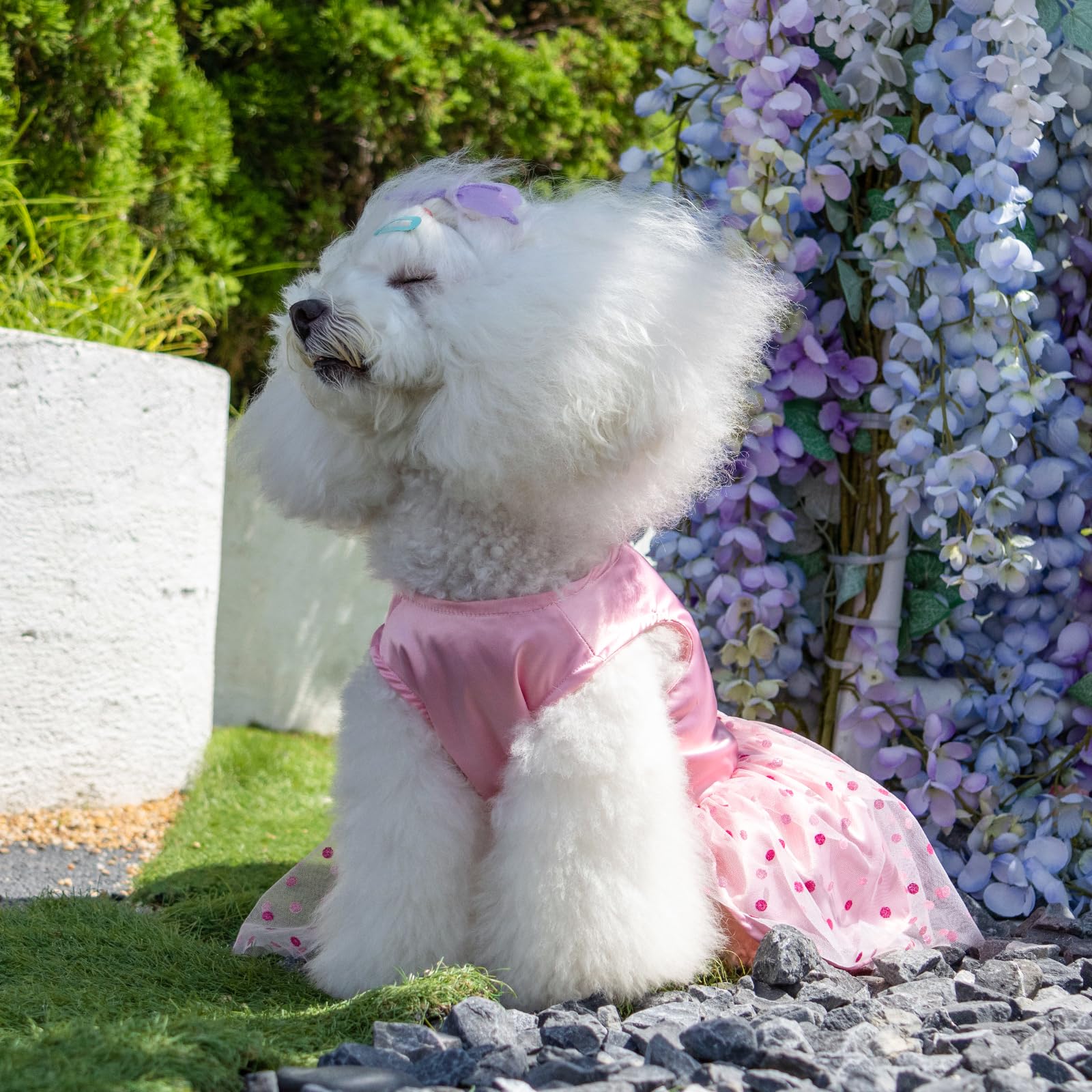 CuteBone atuendo para perros pequeños, cómodo para uso diario.