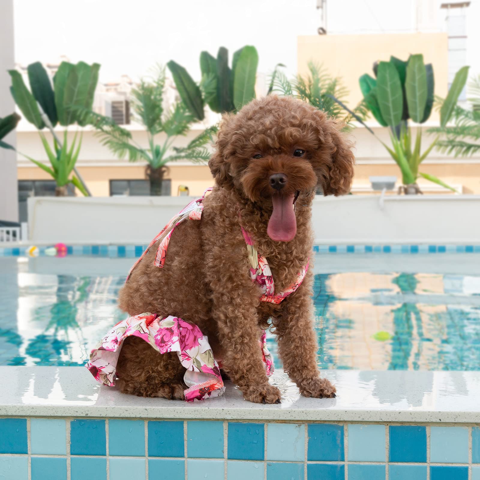 CuteBone pack-dos-vestidos-perro ofrece variedad de looks.