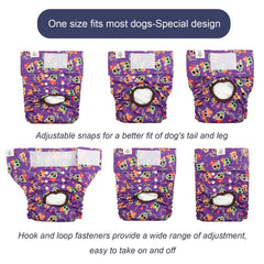 CuteBone pañales para perro D41L, cierres gancho y lazo, instalación rápida y segura