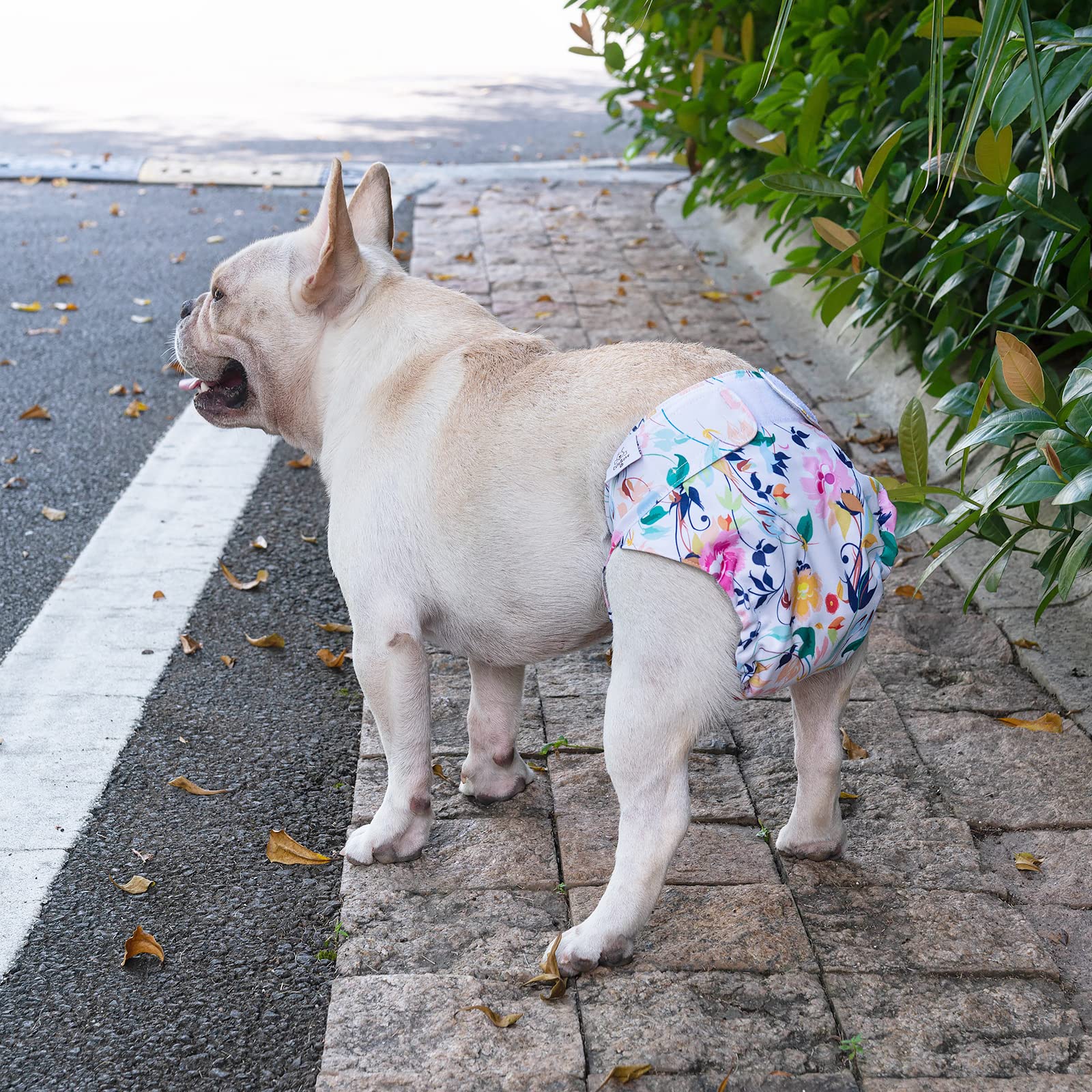 Ajuste elástico en las patas, CuteBone mejora el ajuste y evita fugas.