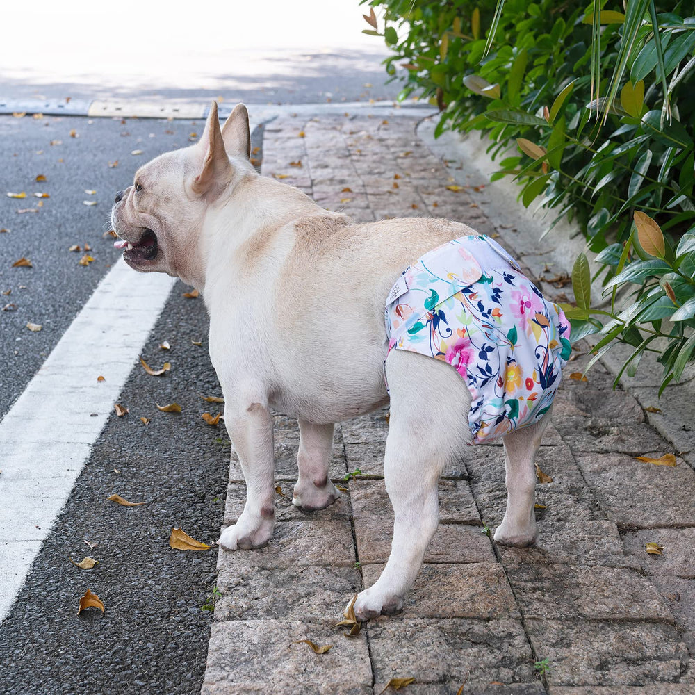 Ajuste elástico en las patas, CuteBone mejora el ajuste y evita fugas.
