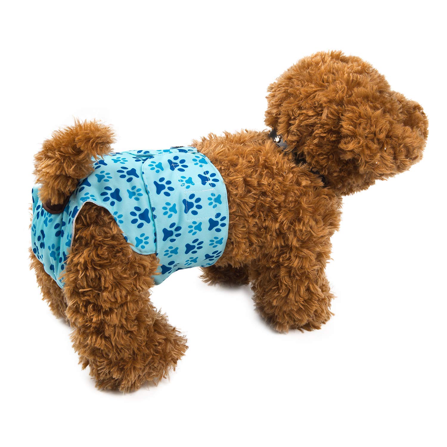 CuteBone: exterior impermeable para contener líquidos y proteger la casa.
