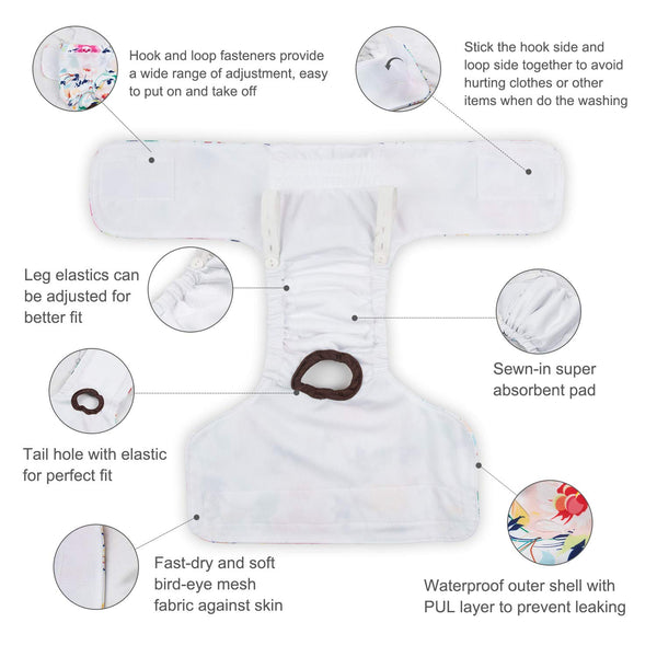 Pañales CuteBone con forro absorbente para mayor protección.