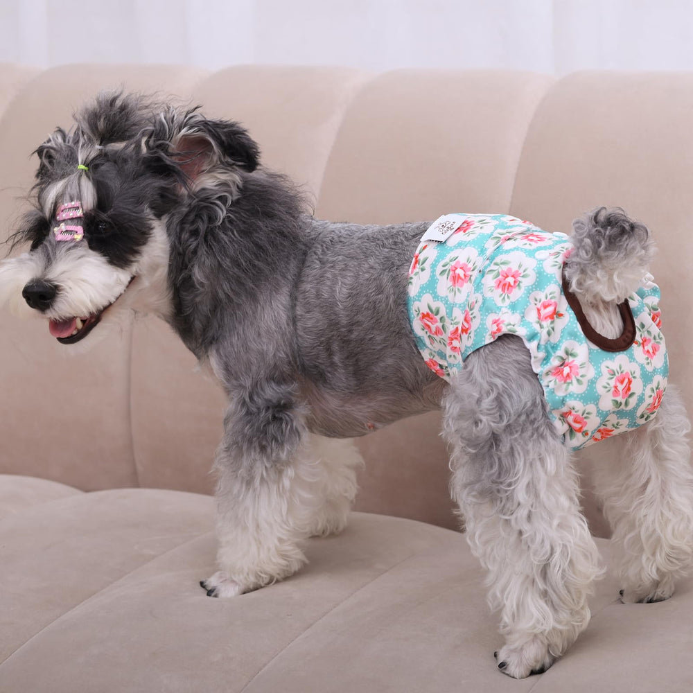CuteBone pañales para perros, exterior impermeable evita derrames.