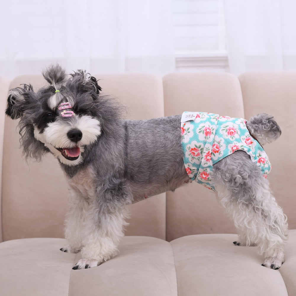 CuteBone pañales con almohadilla absorbente integrada para mayor comodidad y protección.