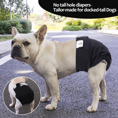 CuteBone pañales para perros hembra sin cola, enfoque: cierre de velcro para poner y quitar fácilmente.