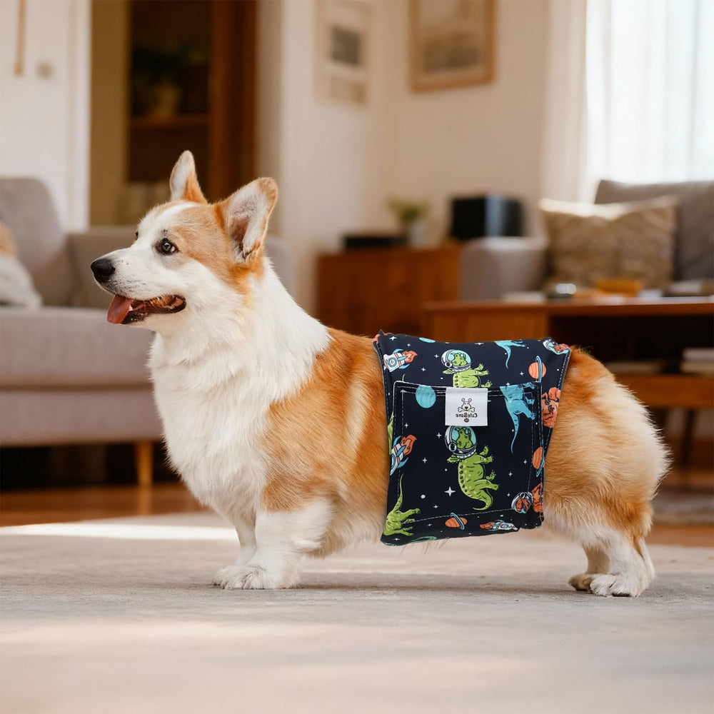 Pañales CuteBone para perro macho, ajuste cómodo y seguro.