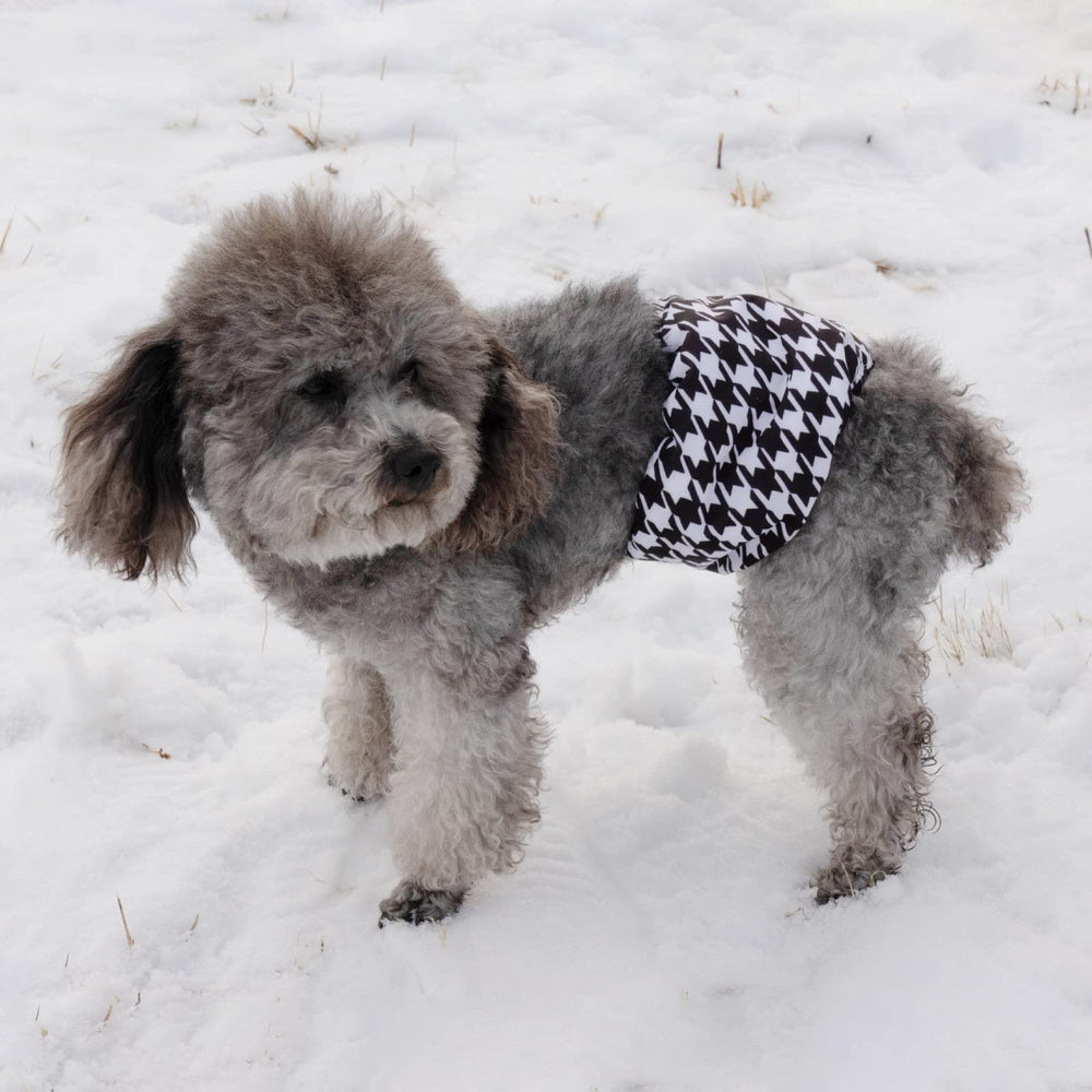 CuteBone panales perro macho cierre velcro seguro para ajuste práctico.