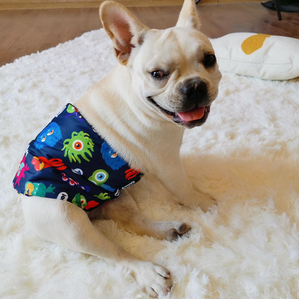 Diseño 3 en CuteBone, variedad para casa con varias mascotas.