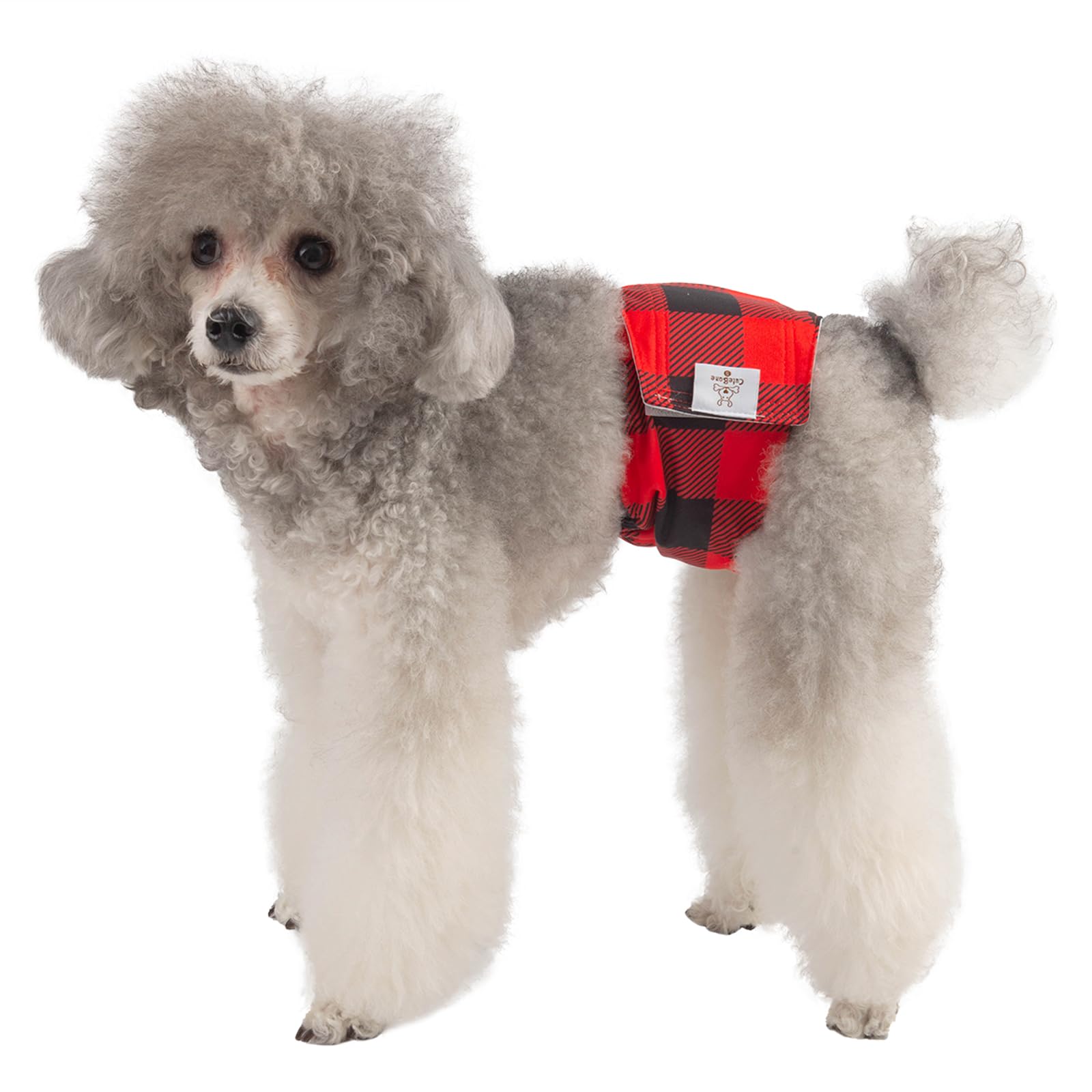 Pañales Cutebone para perros machos en tallas XS a L.