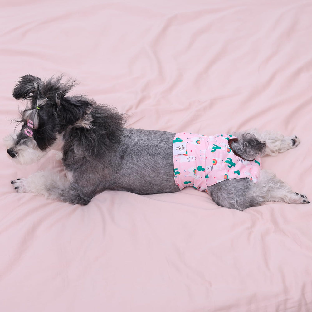 Pañales Cutebone: diseño reutilizable y lavable para economía y ambiente.