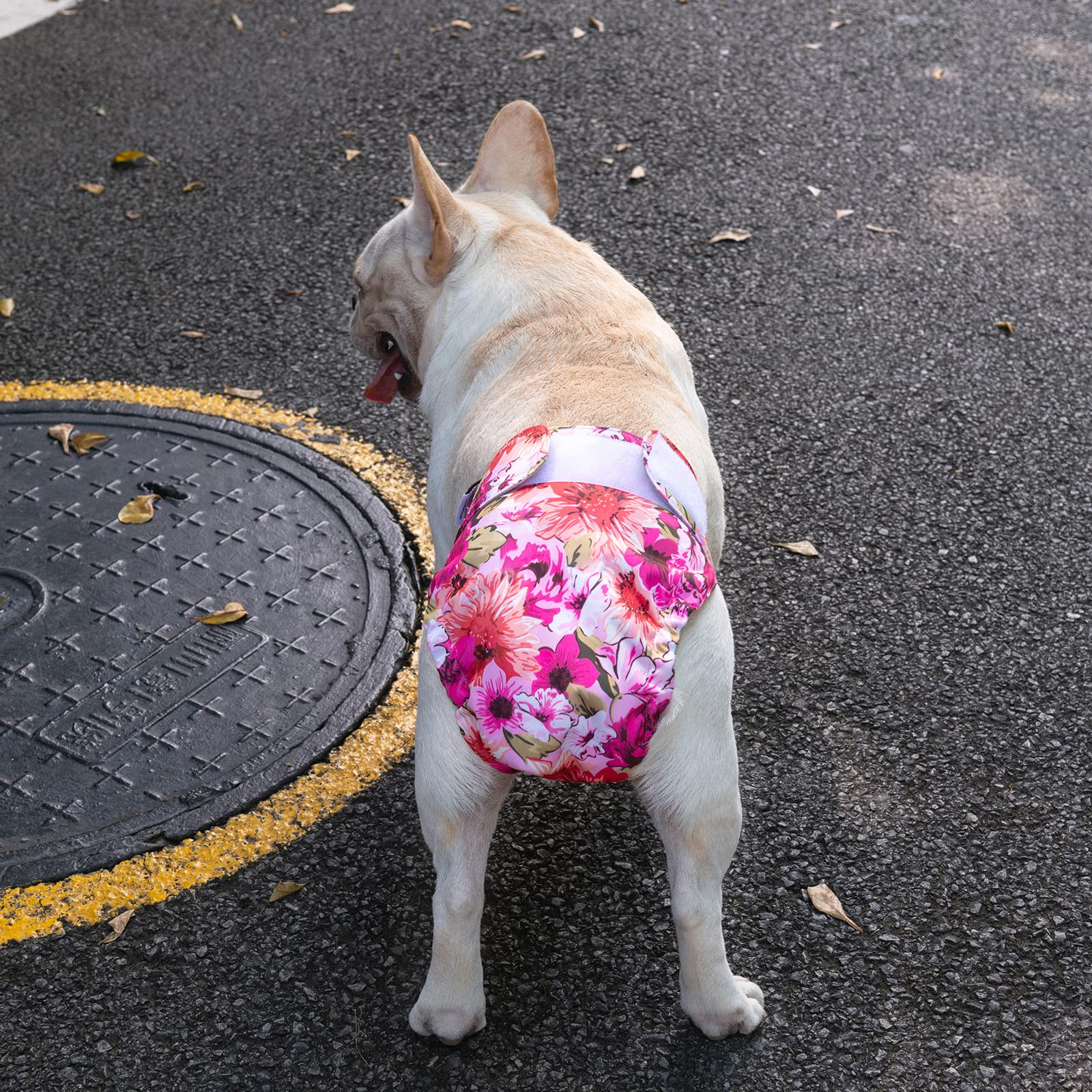 Exterior impermeable de CuteBone, previene manchas en alfombras y muebles.