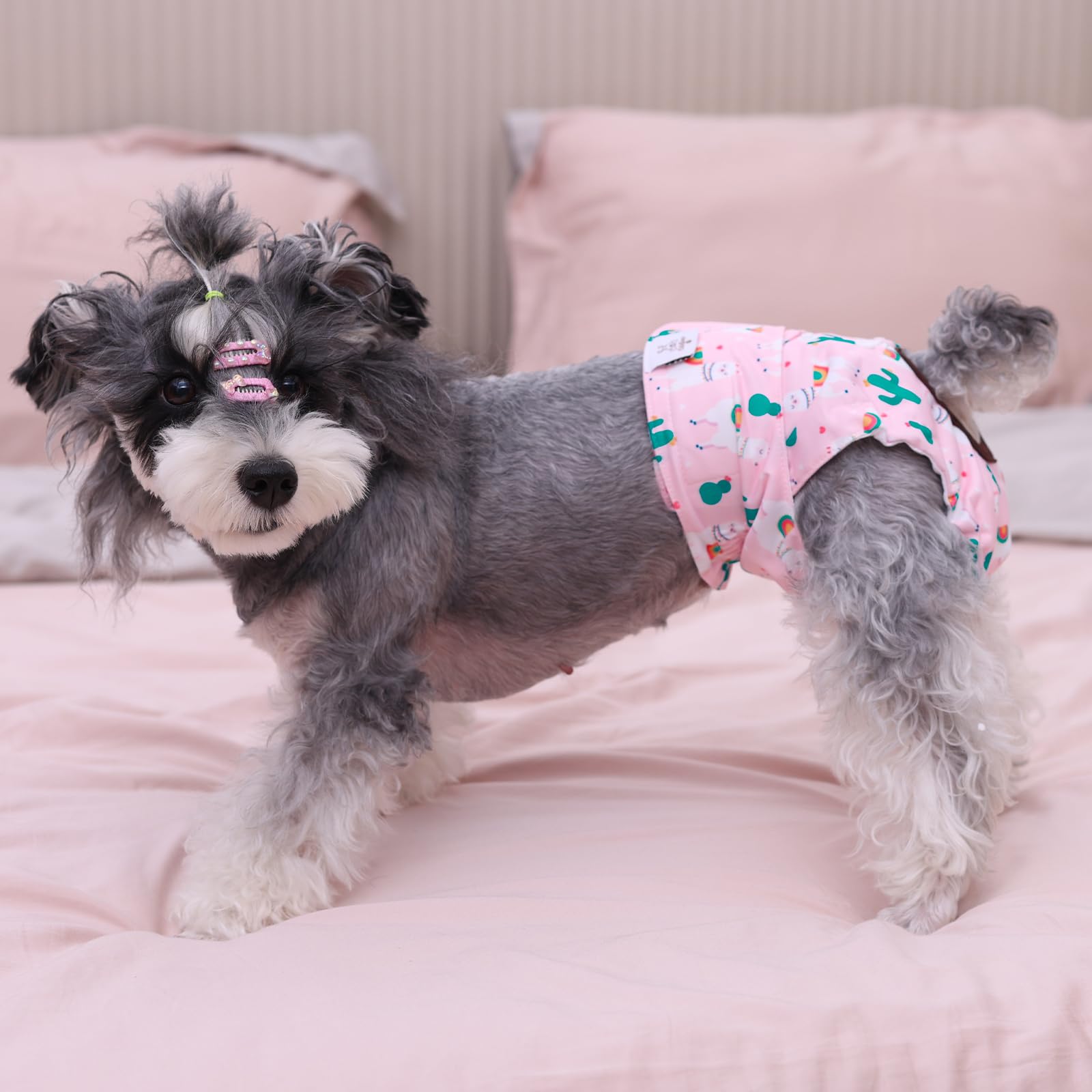 CuteBone lavado fácil, pensados para reutilizar sin complicaciones.