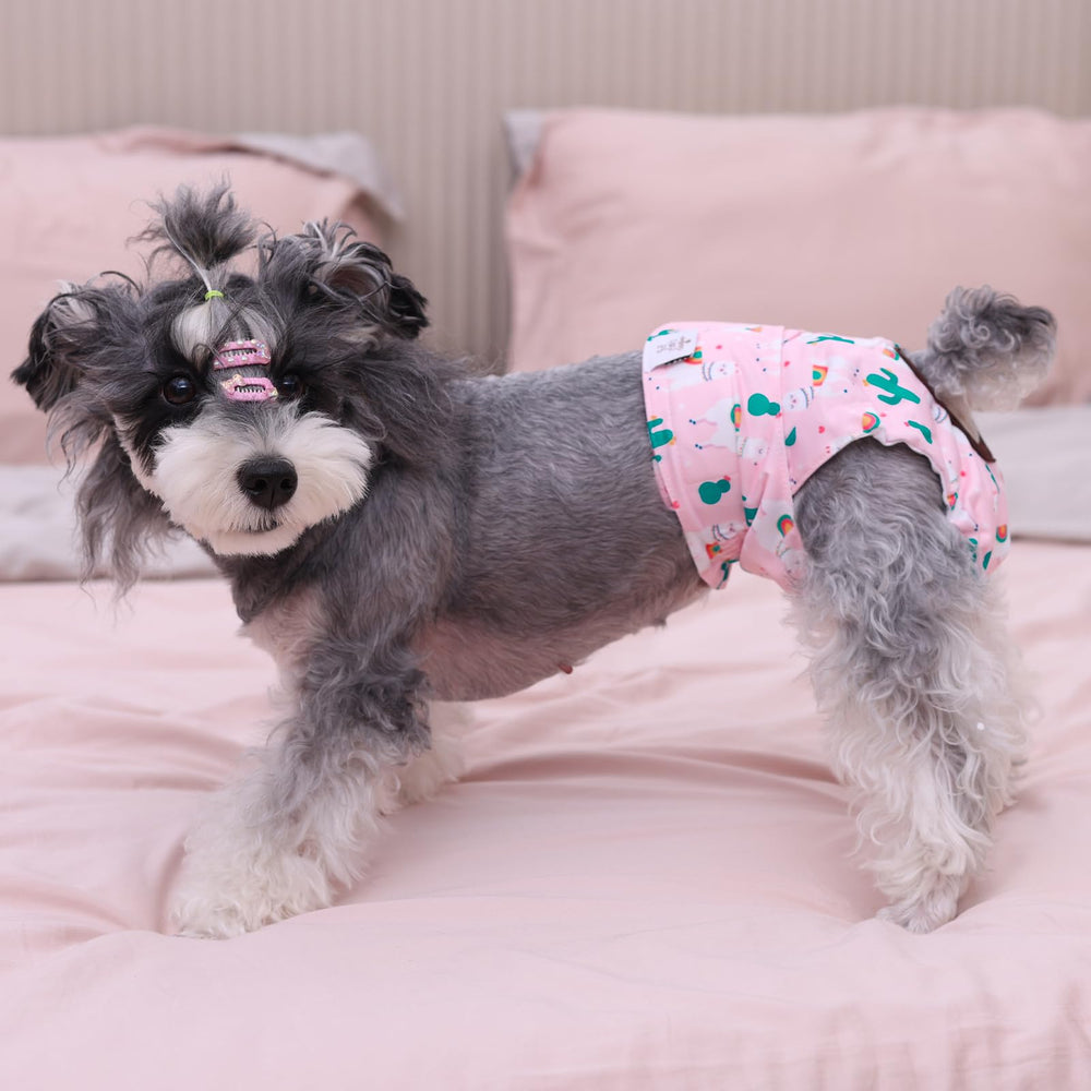 CuteBone lavado fácil, pensados para reutilizar sin complicaciones.