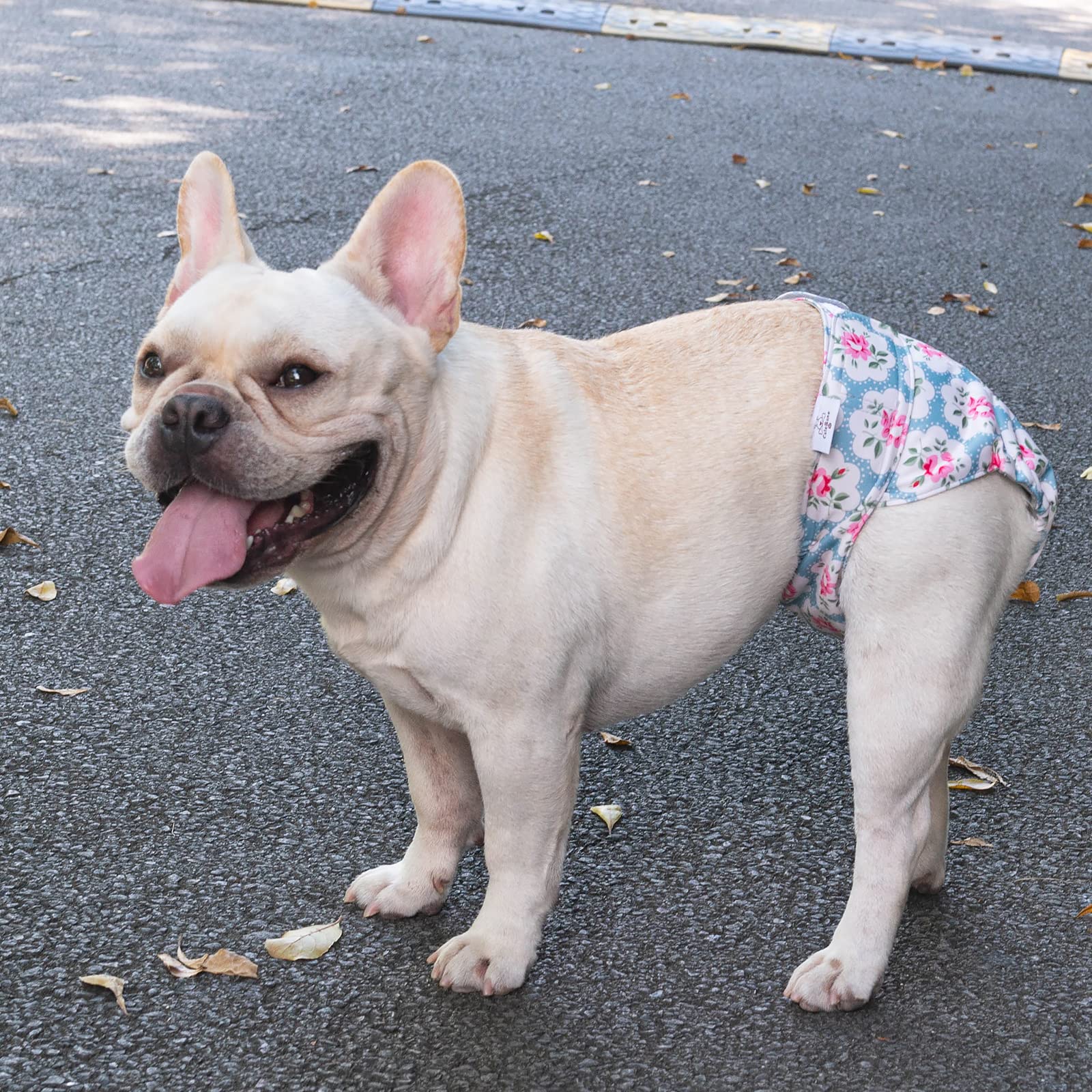 Interior suave y secado rápido de CuteBone para perros, higiene entre paseos.