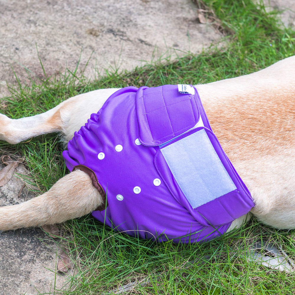 Protección anti-fugas de CuteBone, evita derrames en casa.