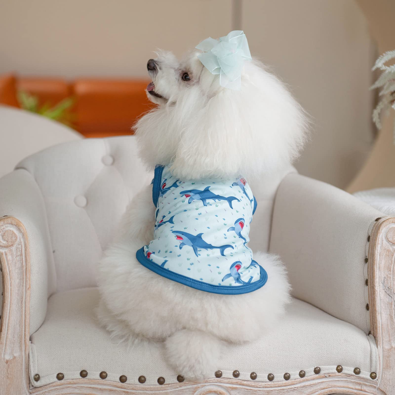 CuteBone camiseta para perro fácil de poner; ideal para vestir en minutos.