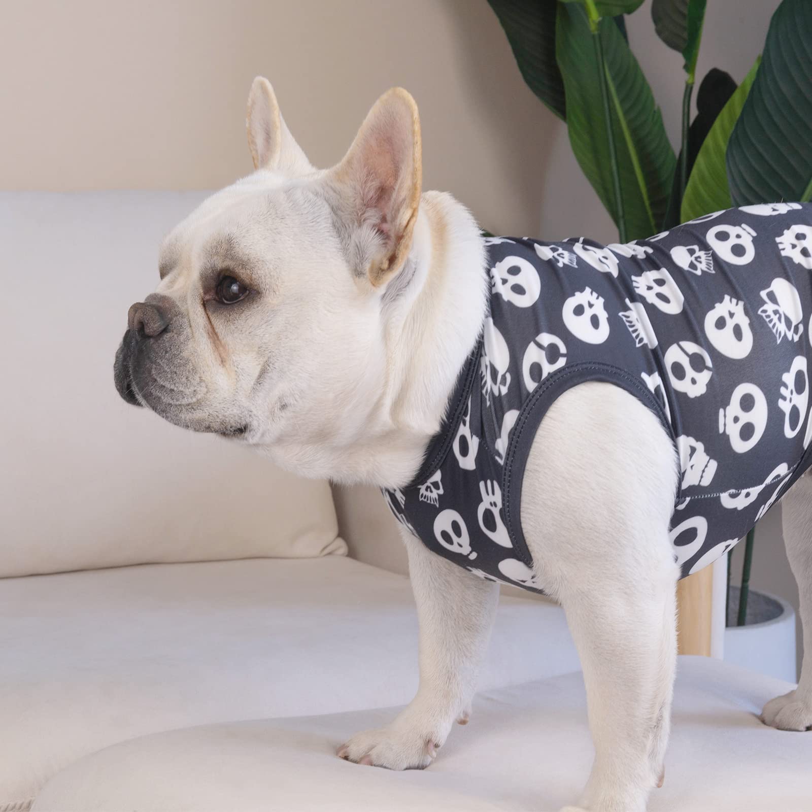 CuteBone talla diversa para ajustar a perros pequeños.