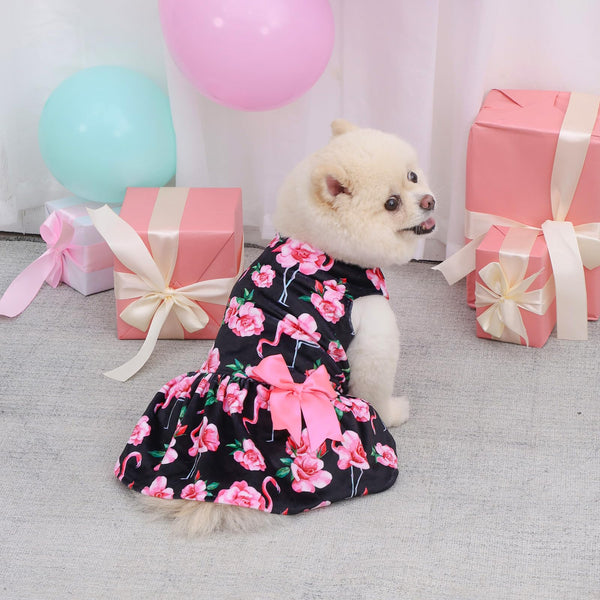 Perro pequeño usando vestido CuteBone, perfecto para celebraciones o salidas diarias.