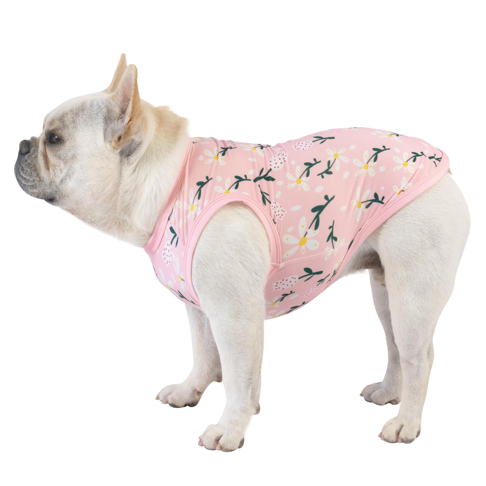 Perro con camiseta CuteBone durante viaje o fiesta, look casual y cómodo.