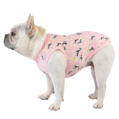 Perro con camiseta CuteBone durante viaje o fiesta, look casual y cómodo.