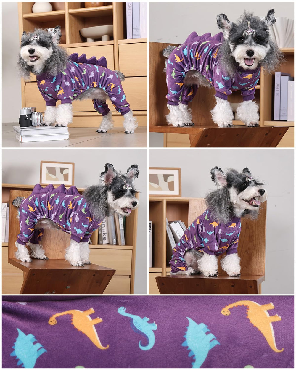 Cutebone conjunto dino para perros, espalda, ideal para sesiones de fotos.