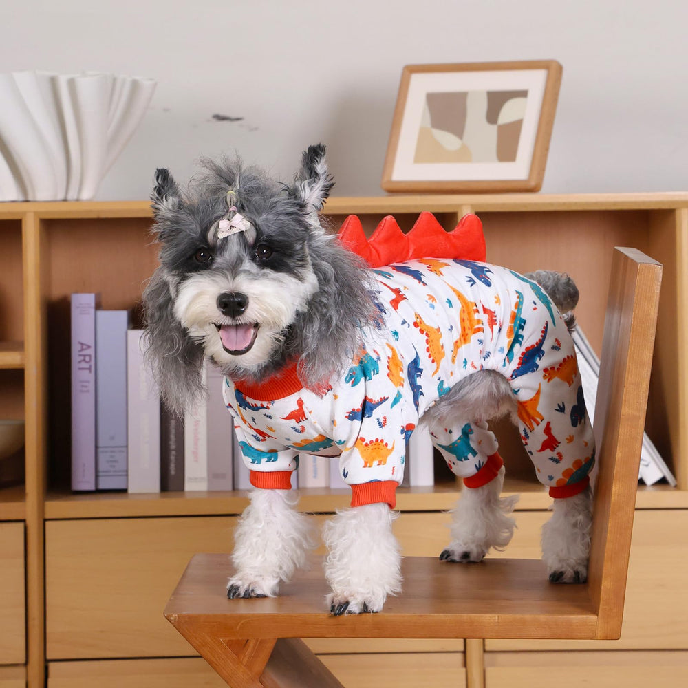 CuteBone Pijama Dinosaurio para Perro, perfecto para sesiones de fotos divertidas.