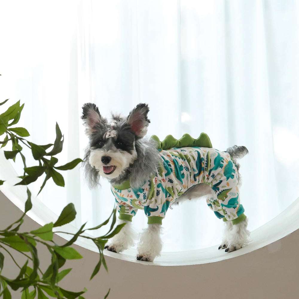 CuteBone Pijama Dinosaurio para perro, tacto cálido para días fríos.