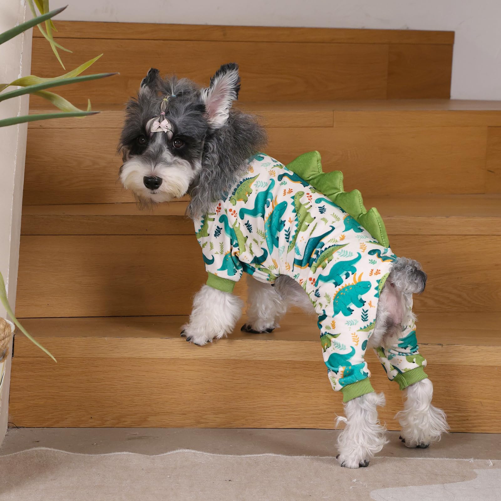 CuteBone Pijama Dinosaurio para perro, uso en actividades y juego diario.