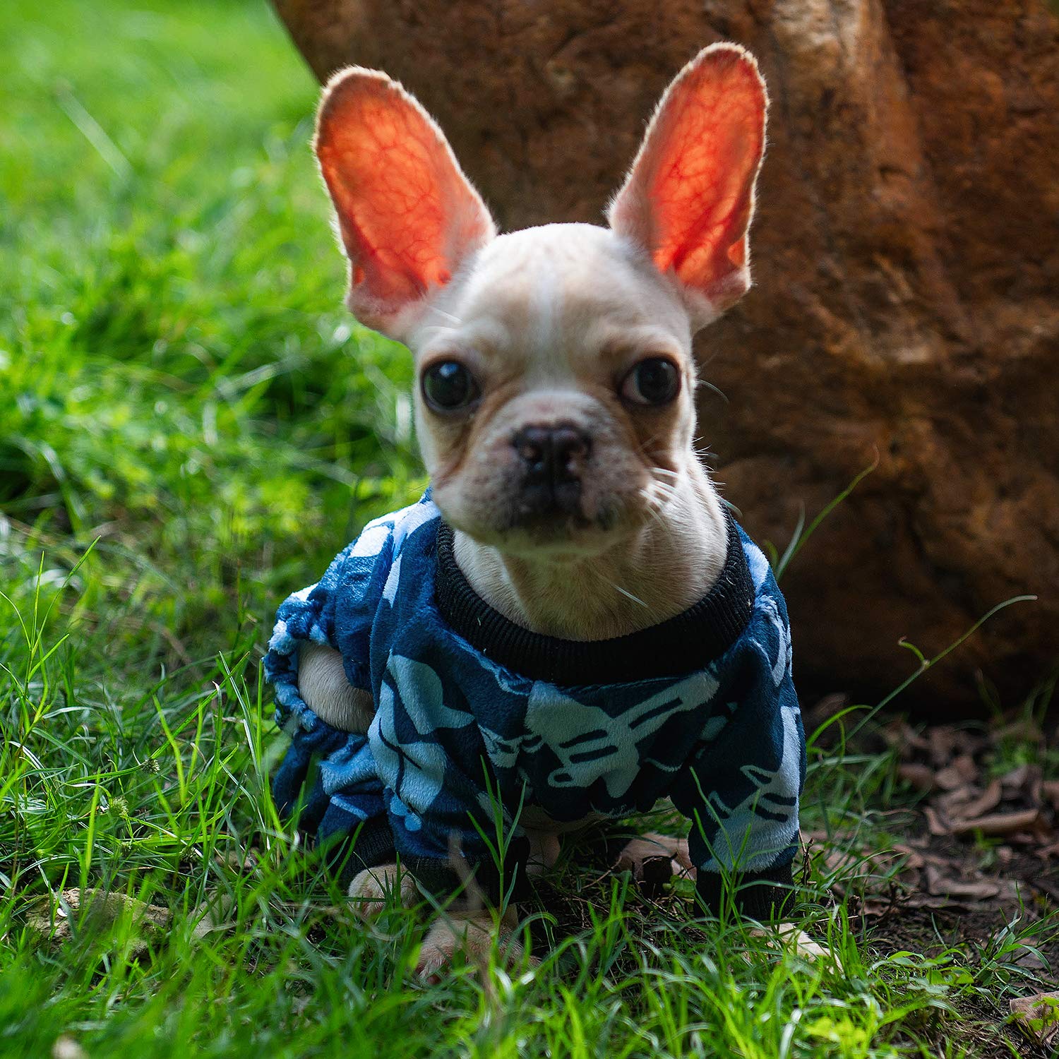 CuteBone pijama para perrito, ideal para salidas y uso diario