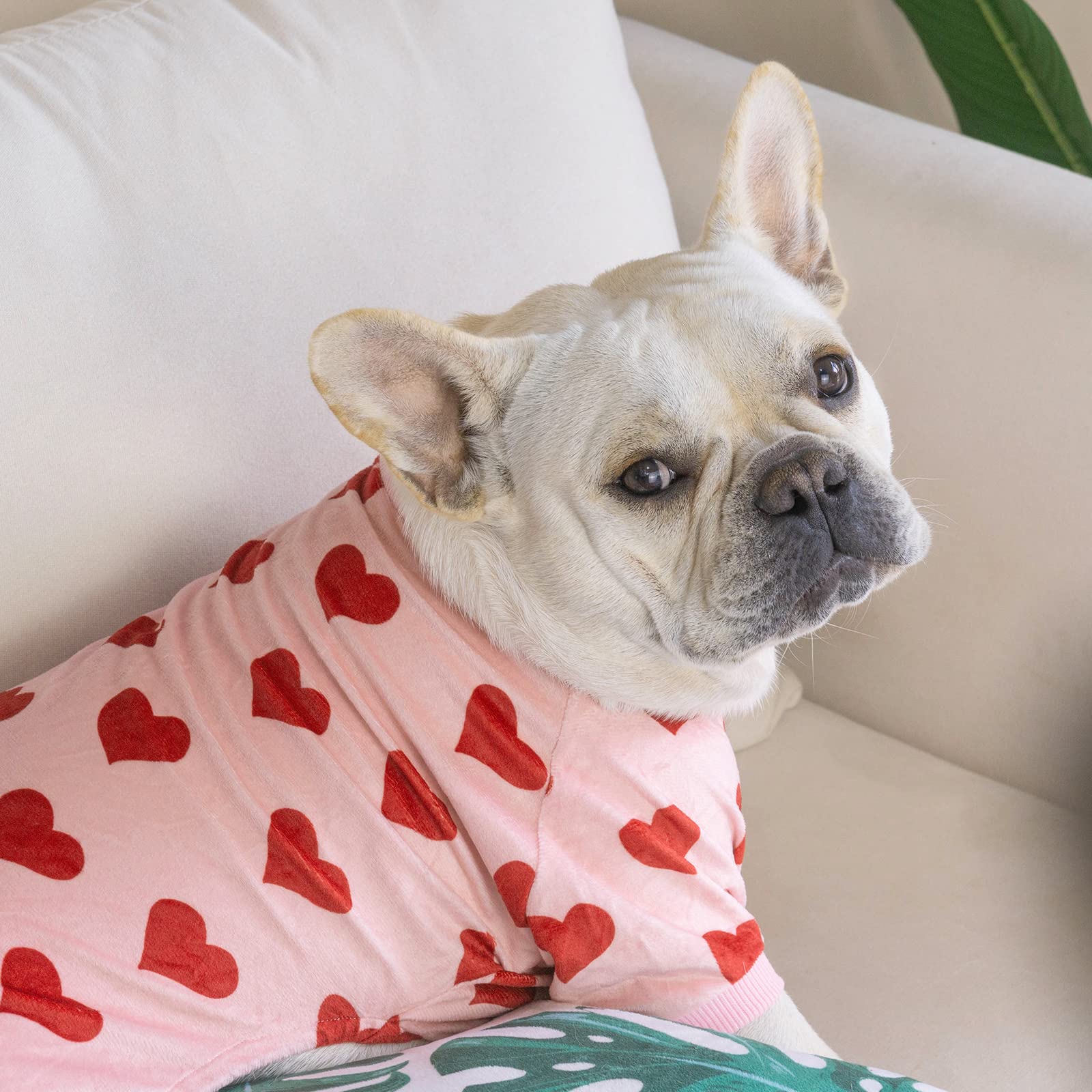 CuteBone pijama para perros, ajuste cómodo para un calce seguro.