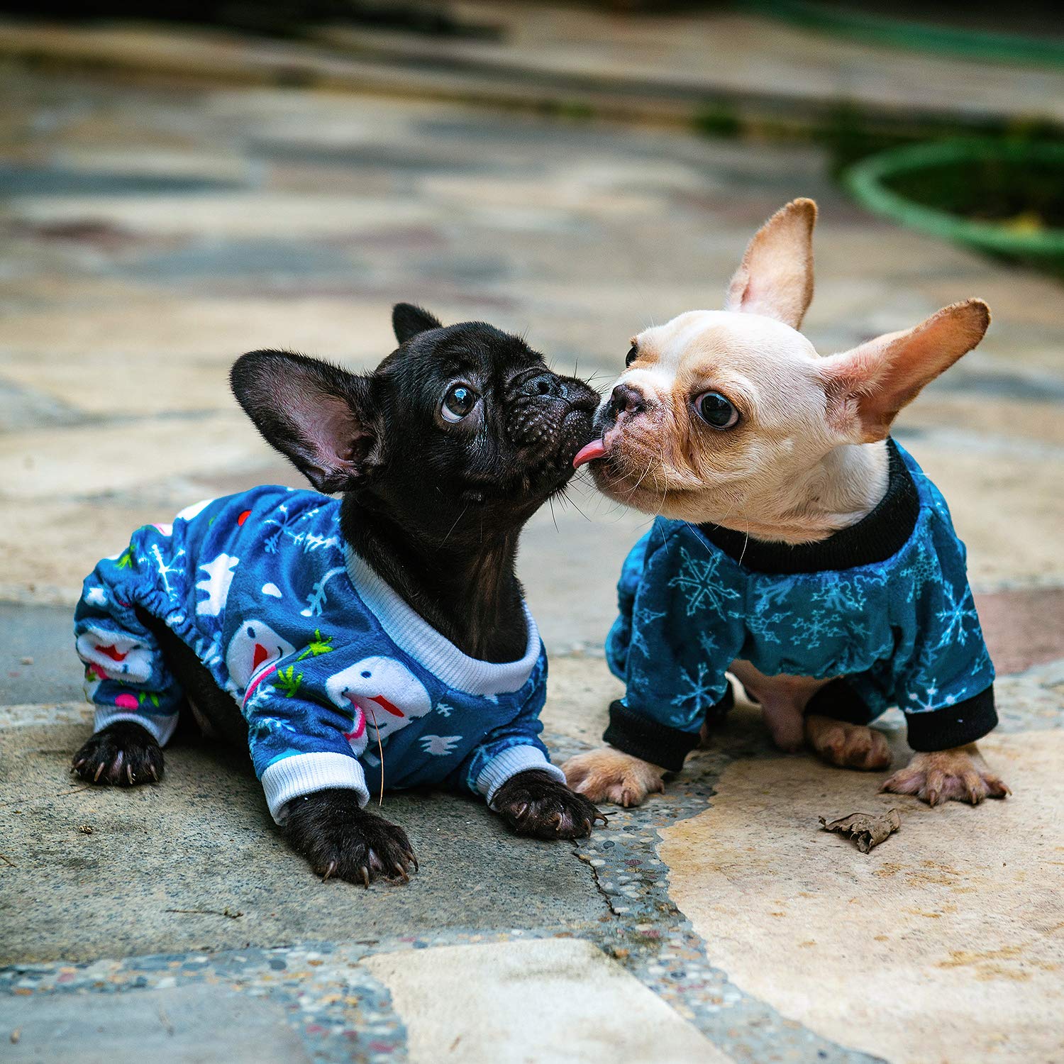 Pijama CuteBone con ajuste cómodo y seguro para perros pequeños