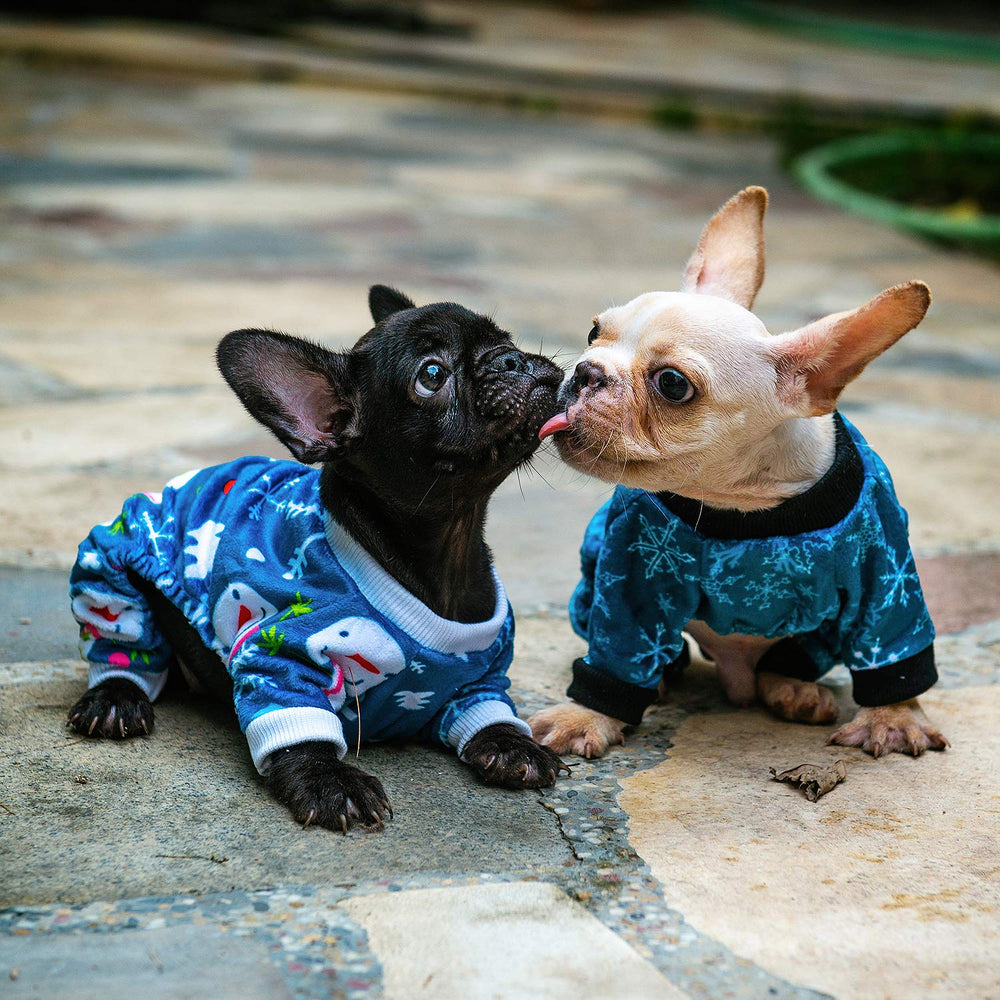 Pijama CuteBone con ajuste cómodo y seguro para perros pequeños