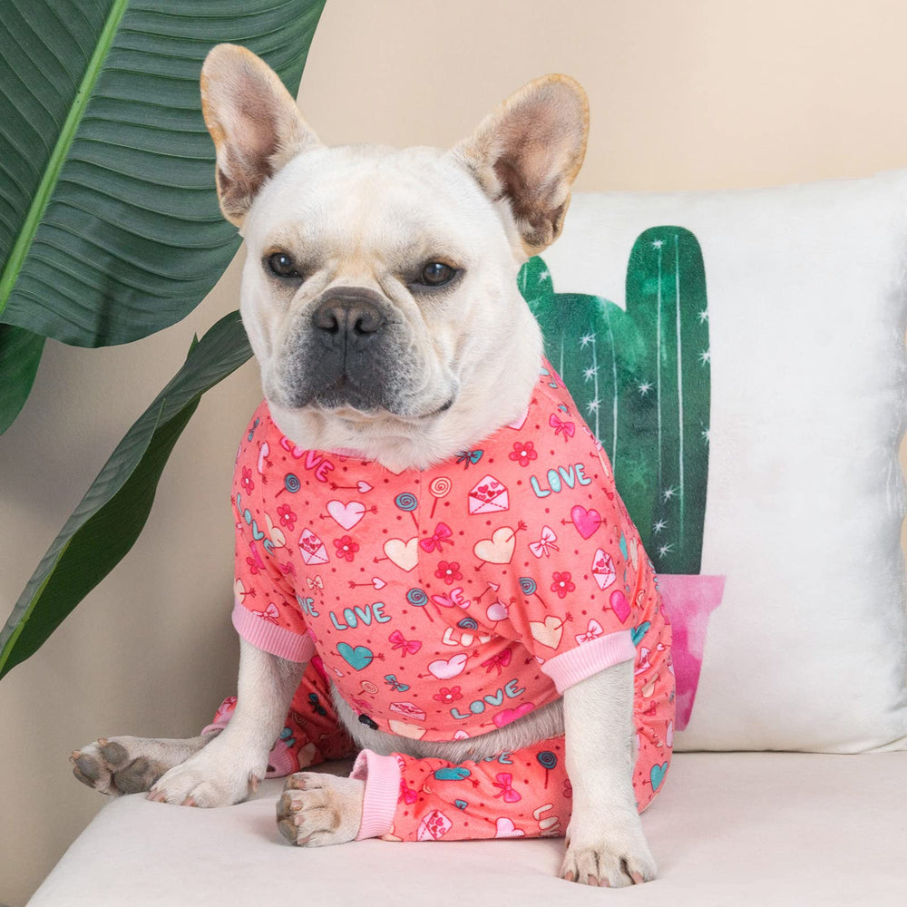 CuteBone pijama para perro, apertura de panza para baños fáciles