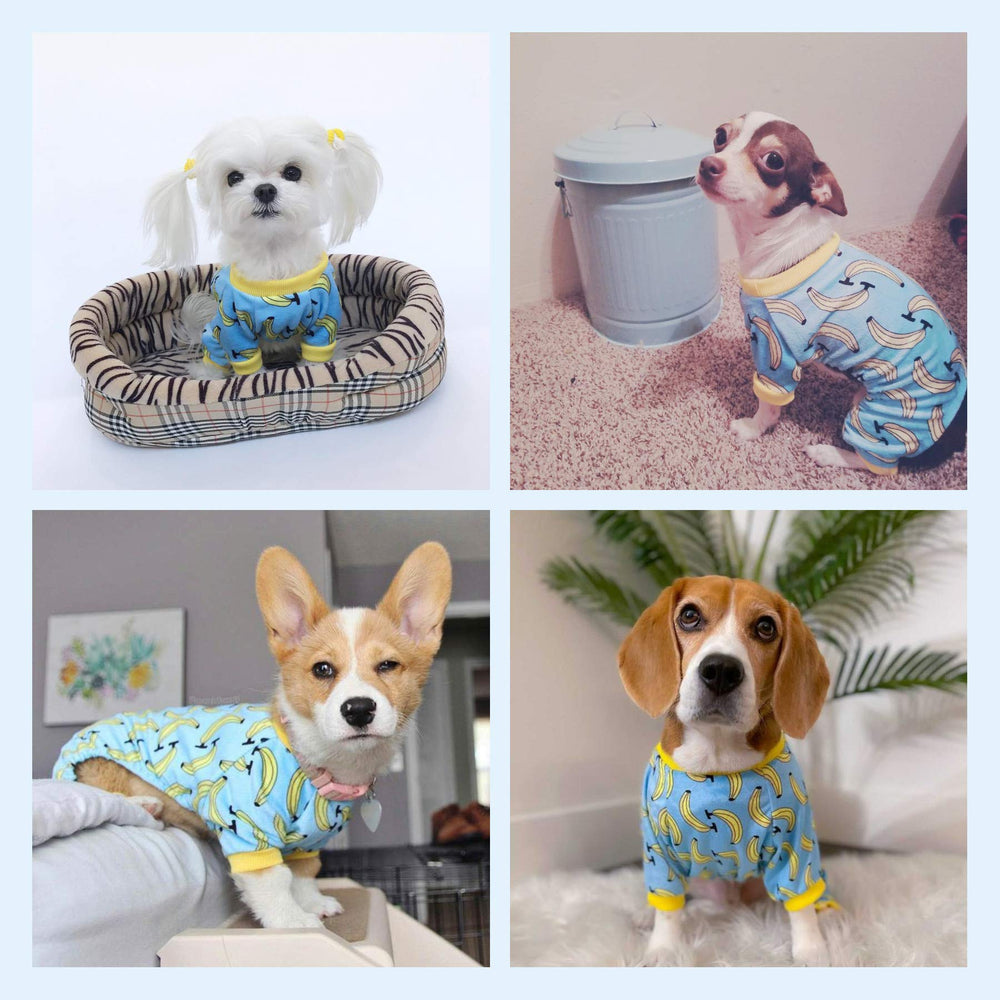 CuteBone pijama para perro, calor suave para noches tranquilas en casa.