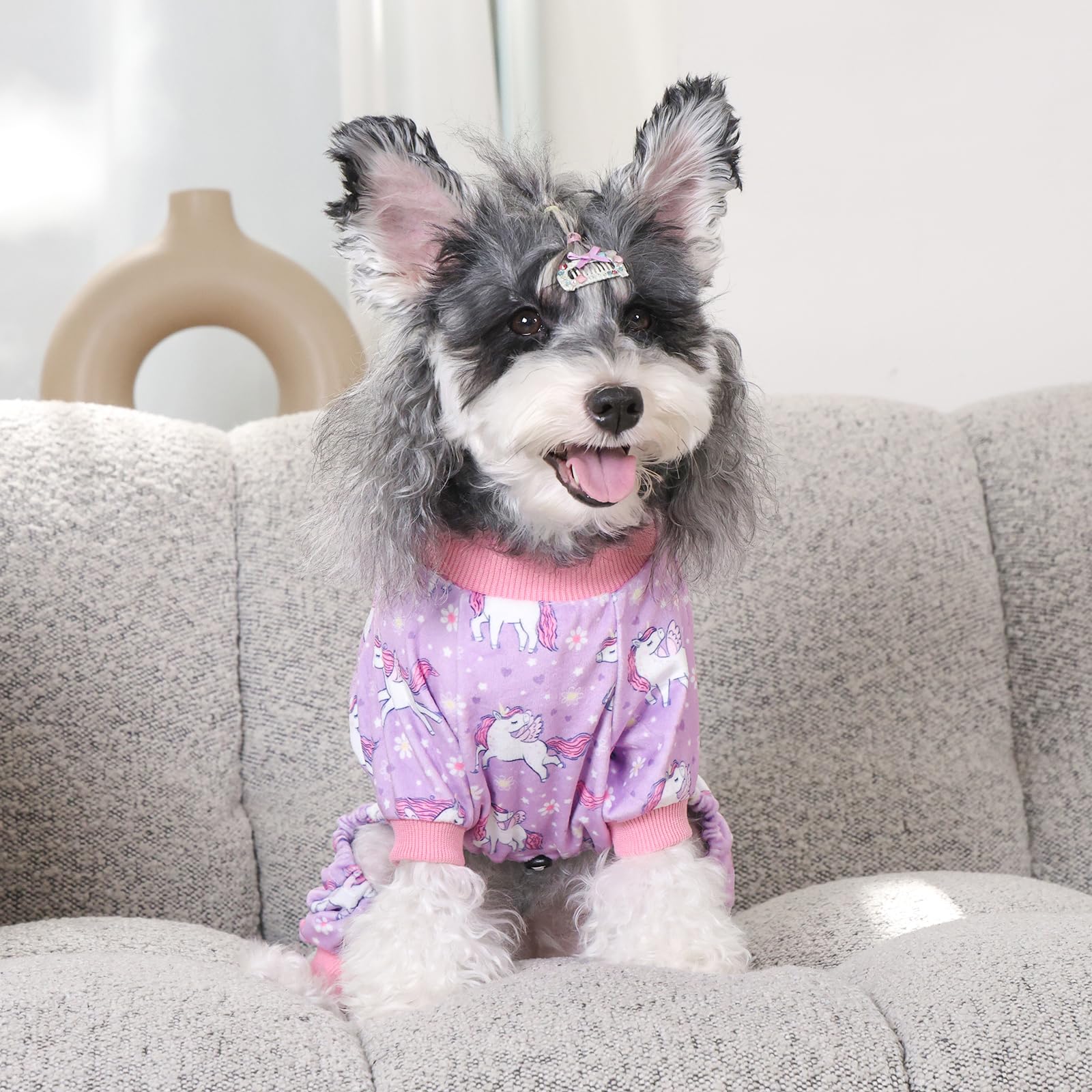 CuteBone ideal para perros pequeños: comodidad diaria en casa