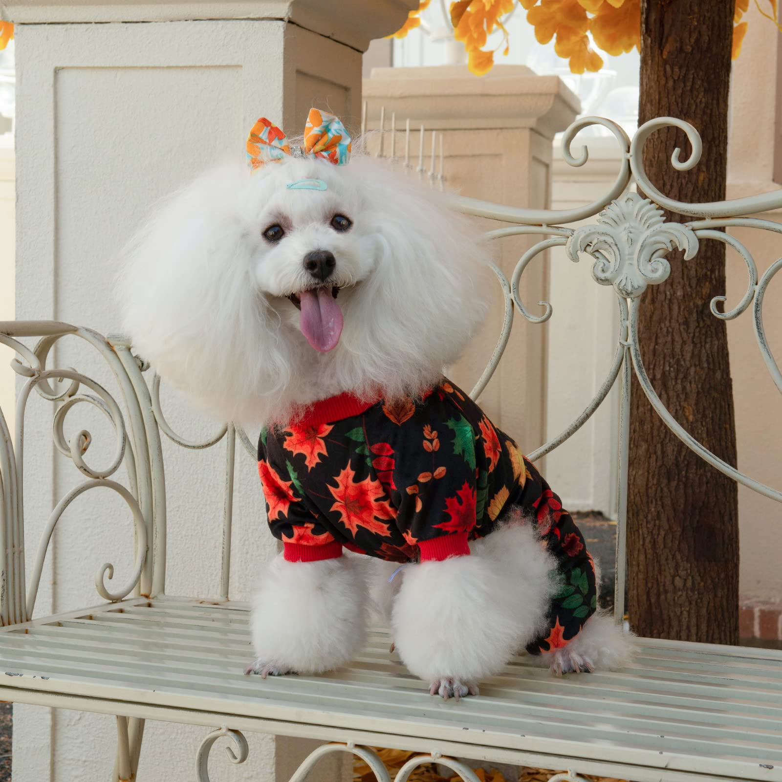 CuteBone Pijama para perro Halloween, apertura abdominal para ir al baño.