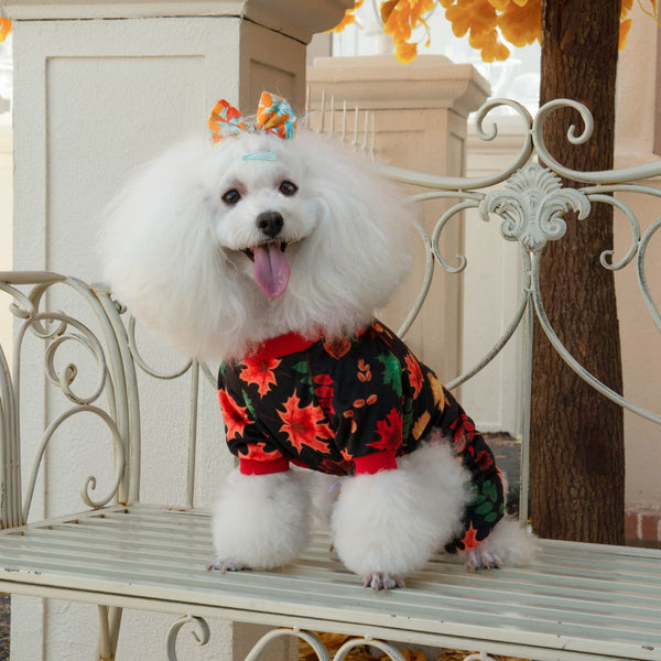 CuteBone Pijama para perro Halloween, apertura abdominal para ir al baño.
