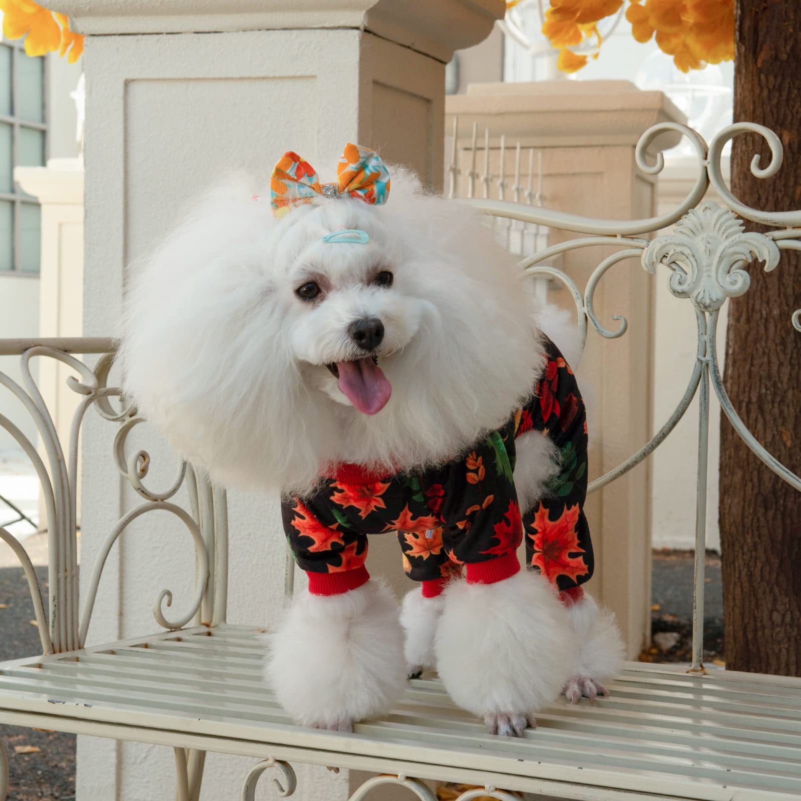 Pijama CuteBone para perro, diseños divertidos para lucir estilo.