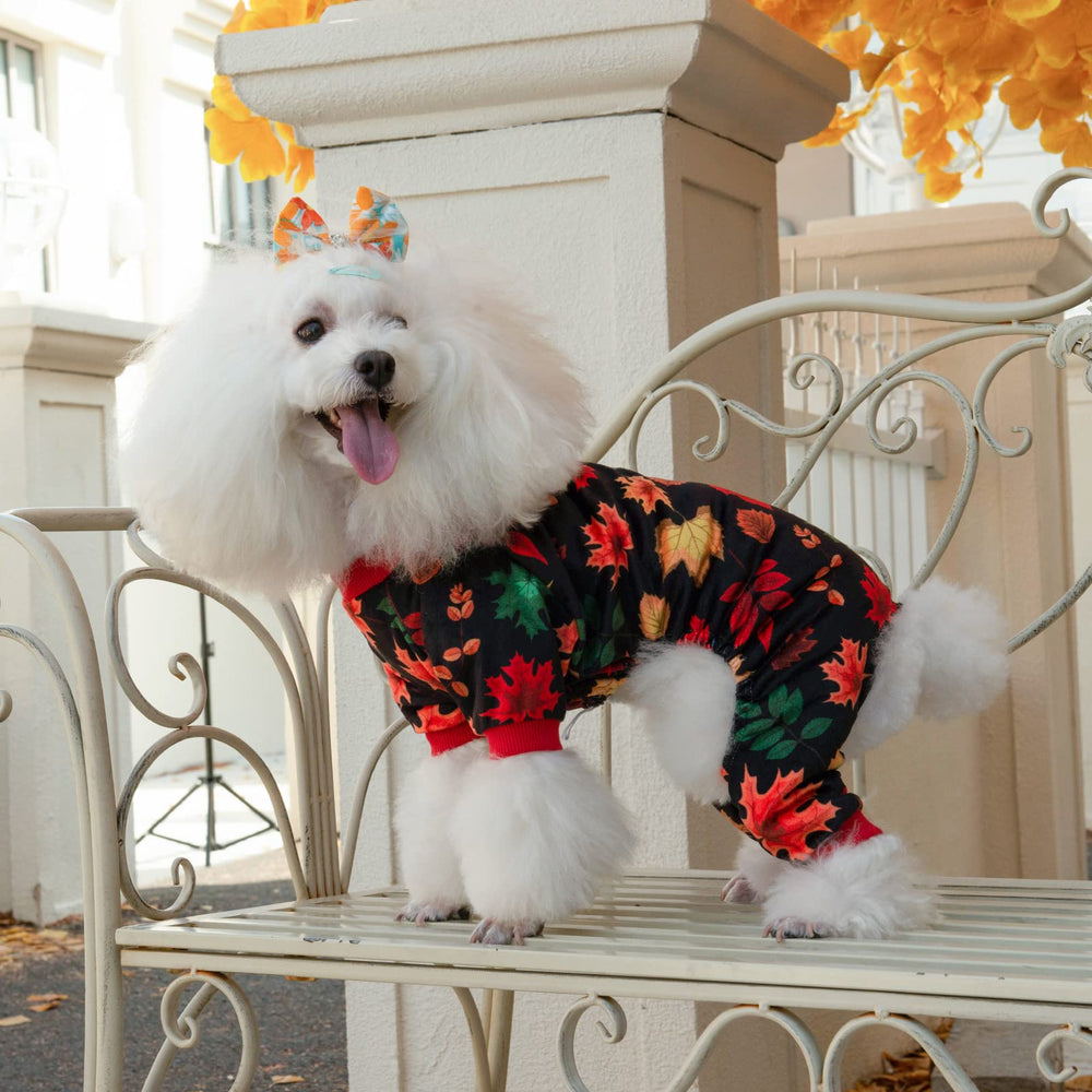 CuteBone pijama para perro, cintura elástica, ajuste cómodo sin restringir movimiento.