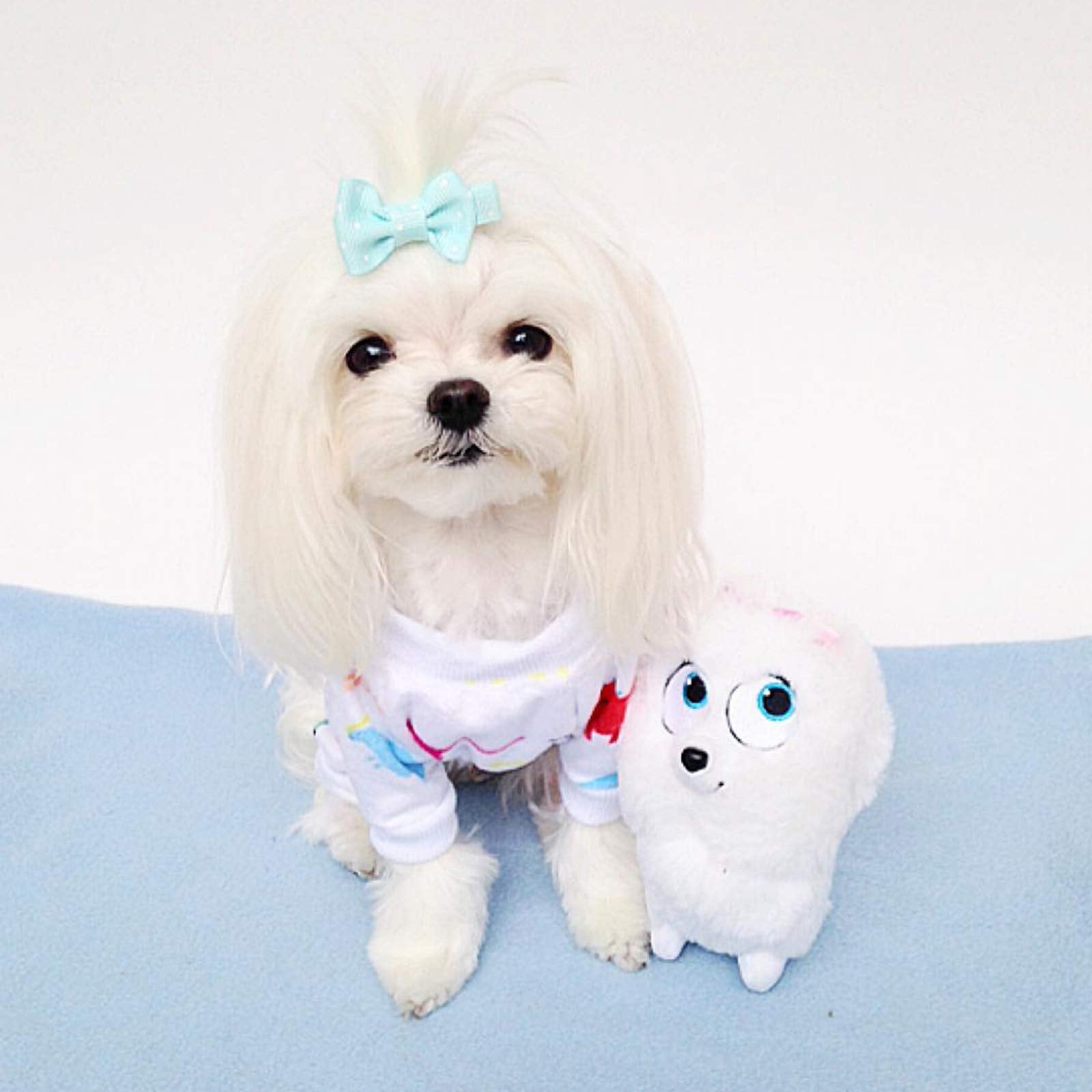 Pijama CuteBone para perros, lavable a máquina, limpieza rápida