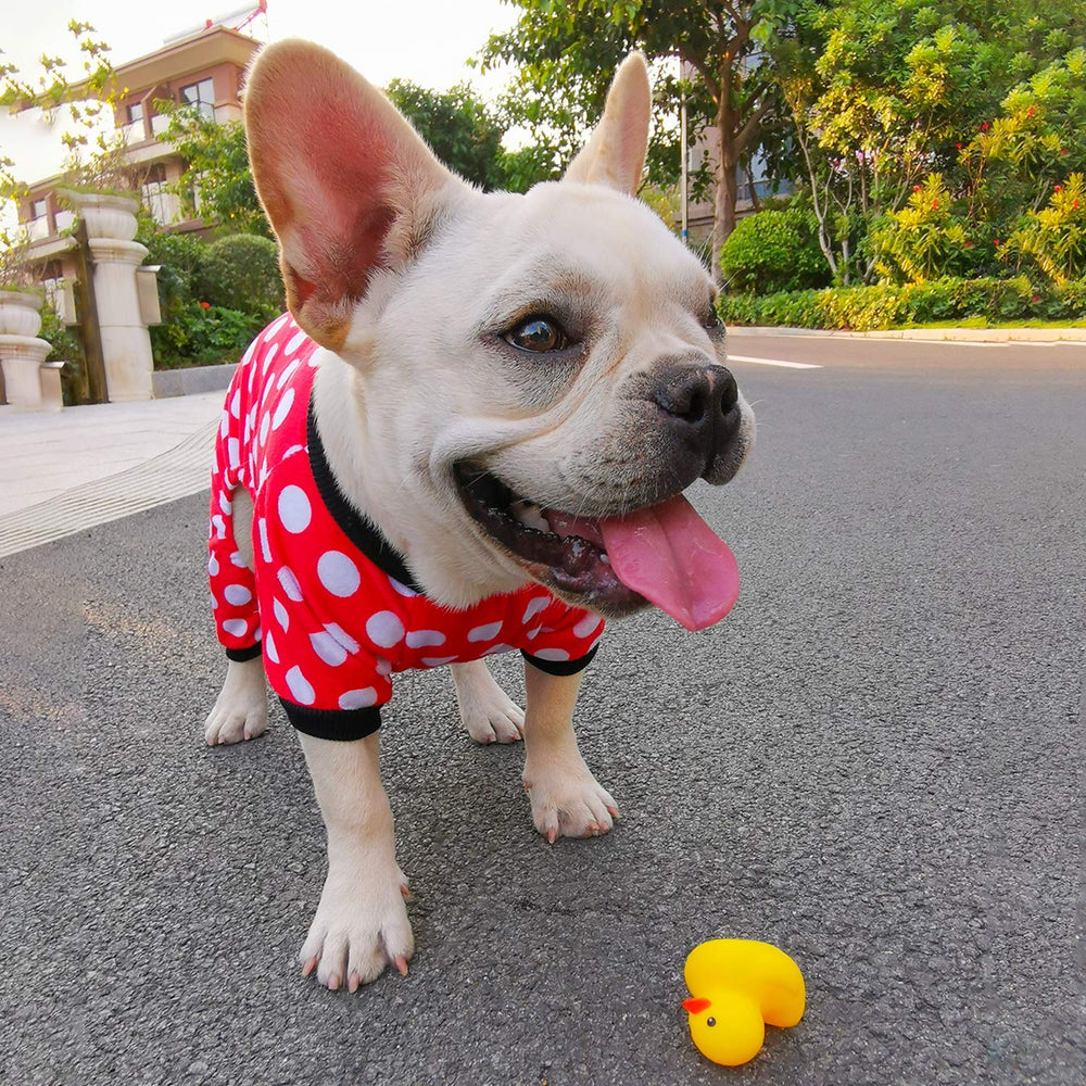 CuteBone pijama para perro halloween, lavable a máquina para limpieza sencilla.
