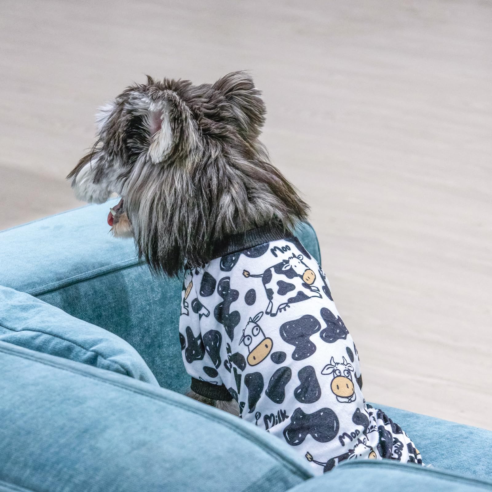 CuteBone Pijama para perro, lavado a máquina, mantenimiento sencillo.