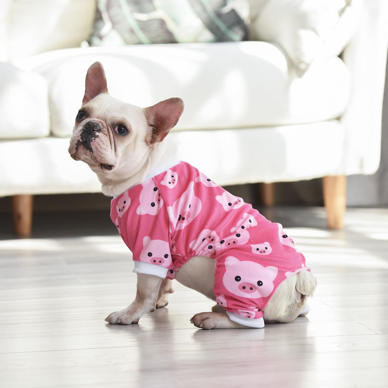 CuteBone pijama-perro-ideal-para-sueño-y-juego, mantiene el pelaje recogido.