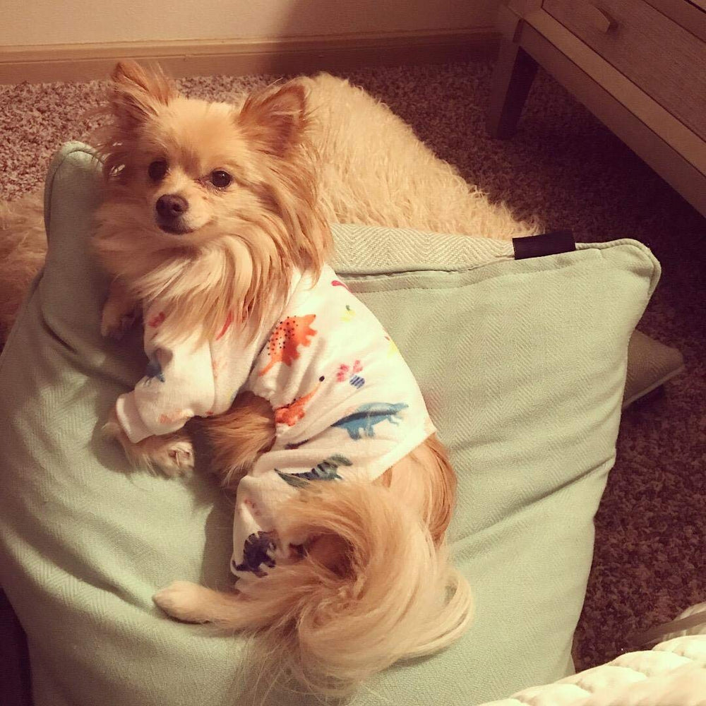 CuteBone pijama para perro tejido minky suave, calor ligero y cómodo