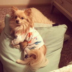 CuteBone pijama para perro tejido minky suave, calor ligero y cómodo
