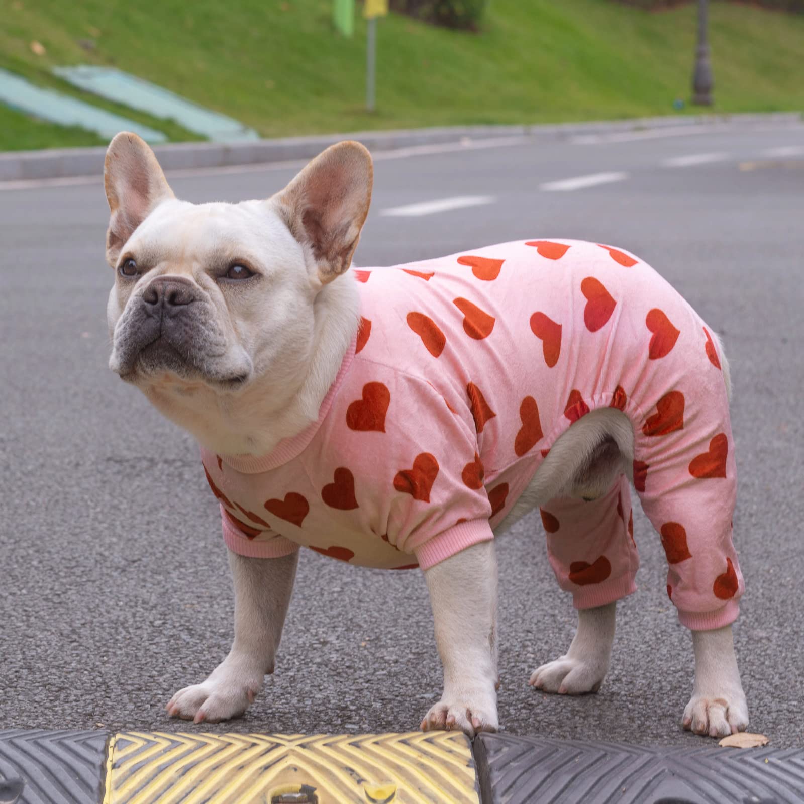 CuteBone pijama para perros, ideal para viajes y mantener abrigado durante el trayecto.