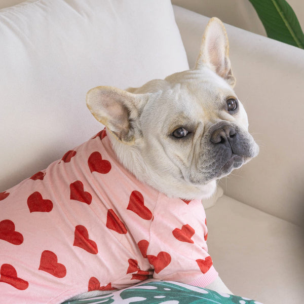 CuteBone pijama para perro tamaño pequeño, ideal para salidas.