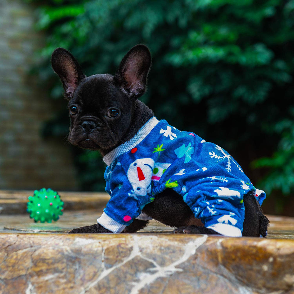 Pijama CuteBone perfecto para viajes y paseos, abraza al perro sin esfuerzo