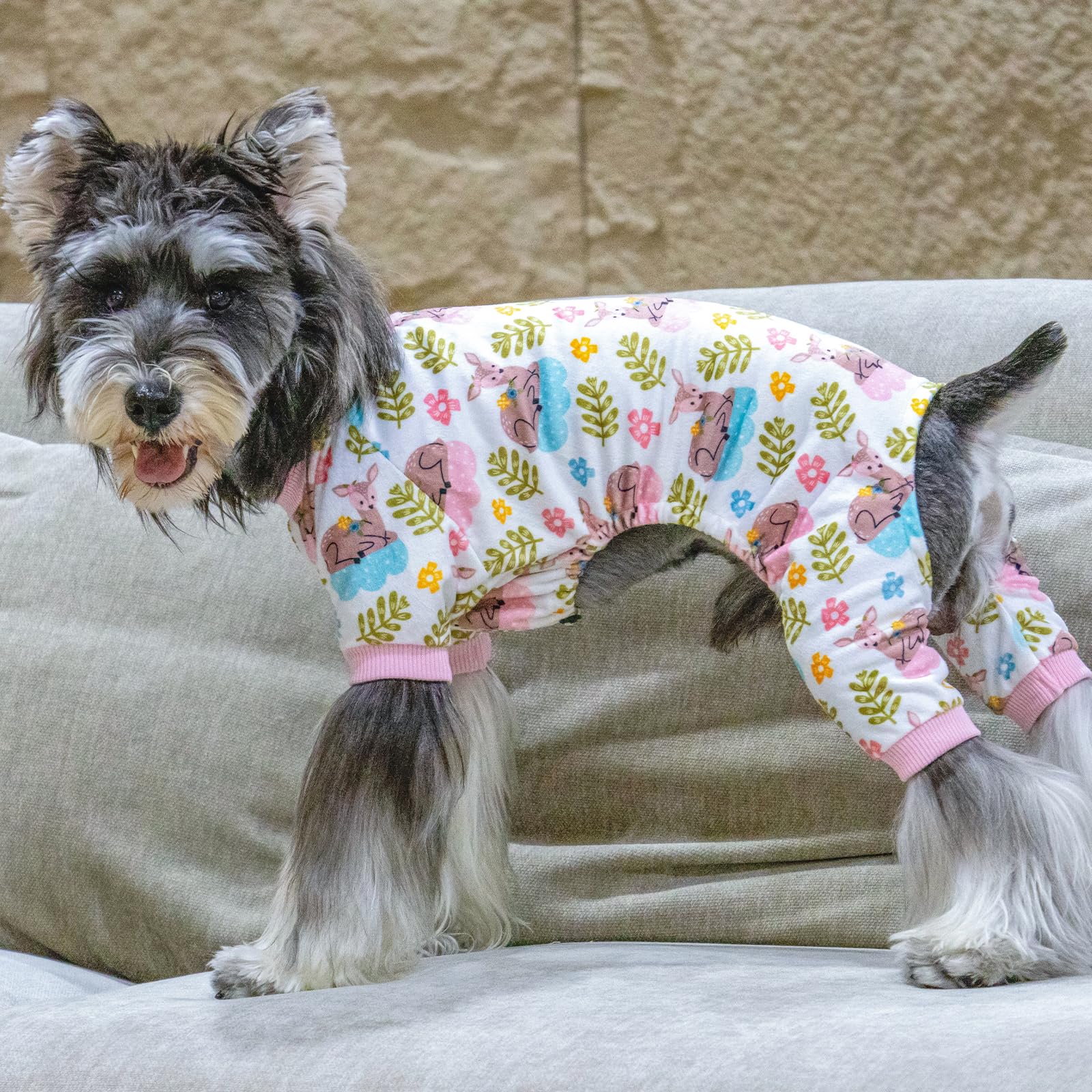 CuteBone pijamas diseno-entrada-cabeza, vestir sin esfuerzo.